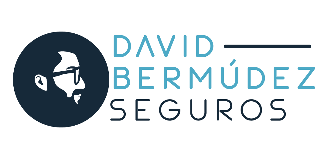 David Bermudez Seguros